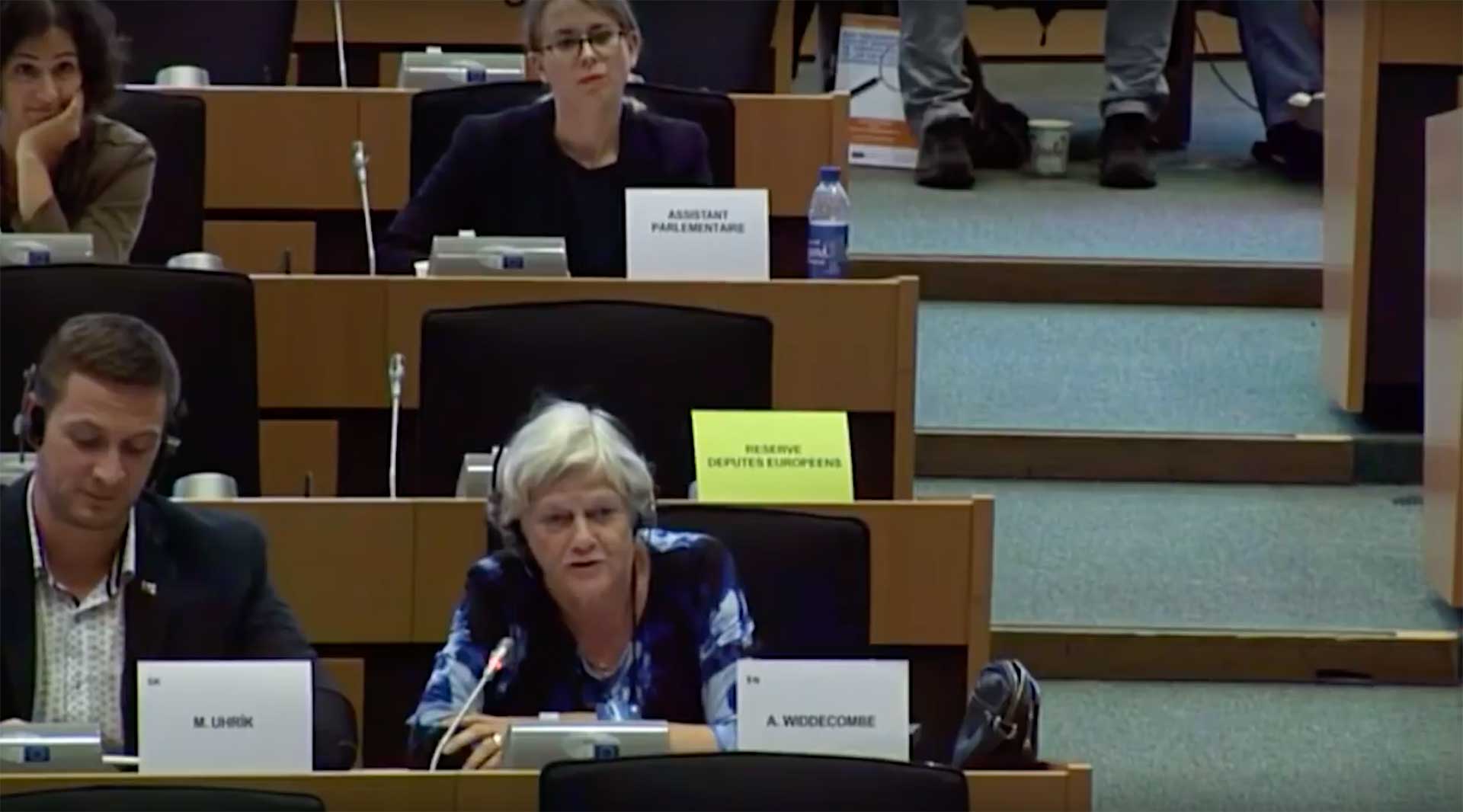 Ann speaking at the EU in Strasbourg